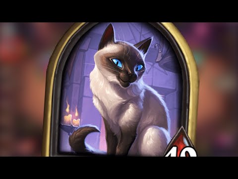 Видео: Безумие - это ......№15