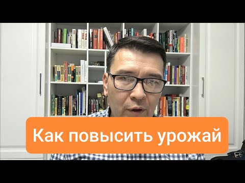 Видео: Как повысить урожайность пшеницы #пшеница #кущение #трубка #гербициды