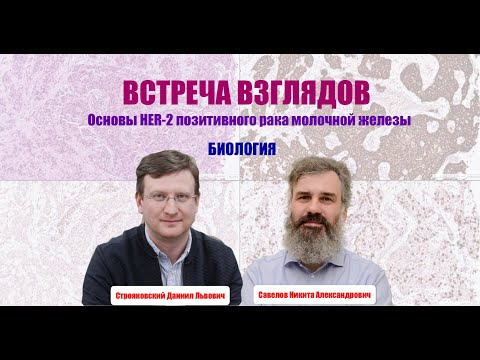 Видео: ВСТРЕЧА ВЗГЛЯДОВ || Биология HER-2 позитивного рака молочной железы | ЧАСТЬ 1