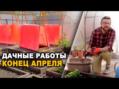 Видео: Галловая тля / посев огурцов / красный огород. Дачный угодник - конец апреля