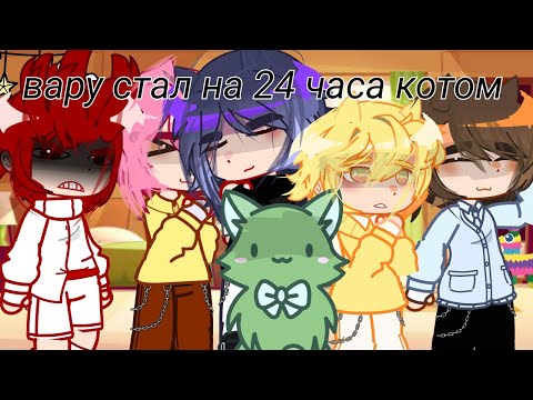 Видео: Вару стал на 24 часа котом || 13 карт || ЕСЛИ НЕ ЗАЛЕТИТ Я СЪЕМ ТАПОК!! || ヾ(＾-＾)ノ