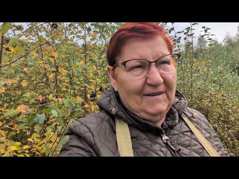 Видео: НЕОЖИДАННАЯ УДАЧА! / 1764