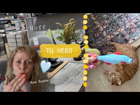 Видео: Я в Петербурге🌧️ ТЦ НЕБО в Мурино