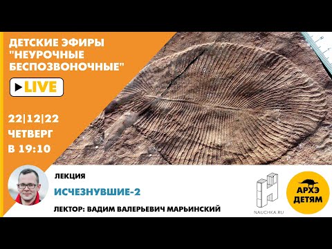 Видео: Детский эфир "Исчезнувшие-2" курса "Неурочные беспозвоночные" Вадима Марьинского