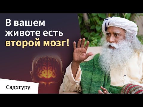 Видео: Как живот определяет наше настроение?