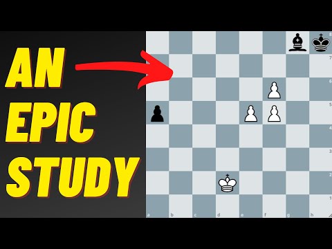 Видео: Безумная задача Марка Либуркина (шахматного композитора)