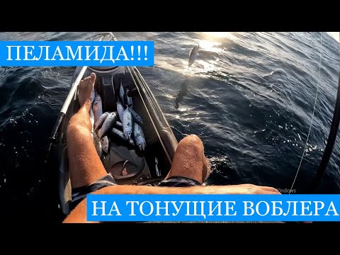 Видео: Ловля ПЕЛАМИДЫ в заброс и не только!)
