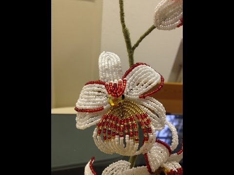 Видео: ОРХИДЕЯ ИЗ БИСЕРА. Часть 3/5. Beaded orchid. DIY. Beaded flower. БИСЕРОПЛЕТЕНИЕ ДЛЯ НАЧИНАЮЩИХ