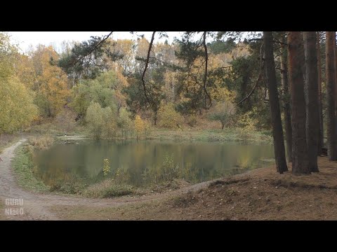 Видео: Поздняя осень в Пензе.
