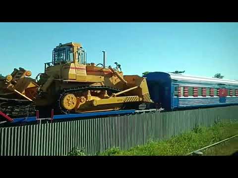 Видео: Кулой