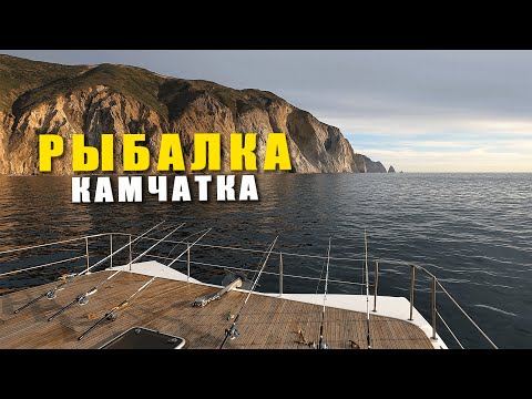 Видео: Рыбалка на Камчатке 2021. Морская и речная рыбалка в разных бухтах