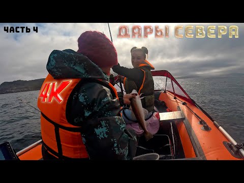 Видео: Дары Севера и Рыбалка до тошноты