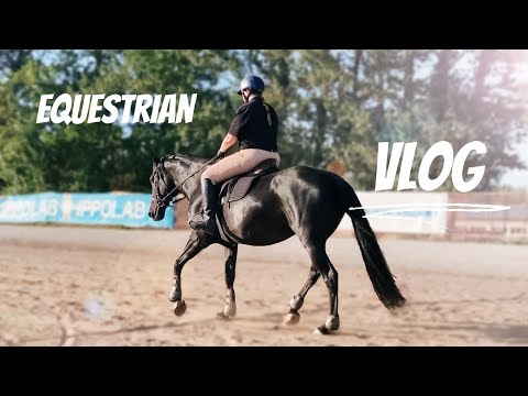 Видео: Конный VLOG из ипподрома | галоп | Фиона прыгает крестики | коноблог