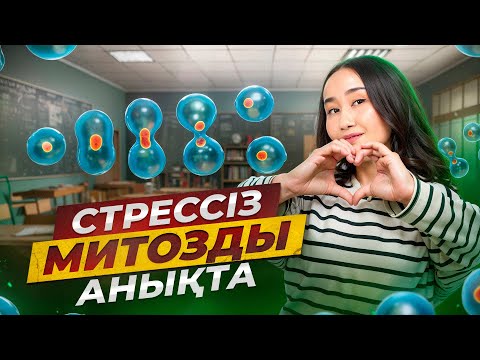 Видео: Стрессіз митозды анықта | ҰБТ Биология