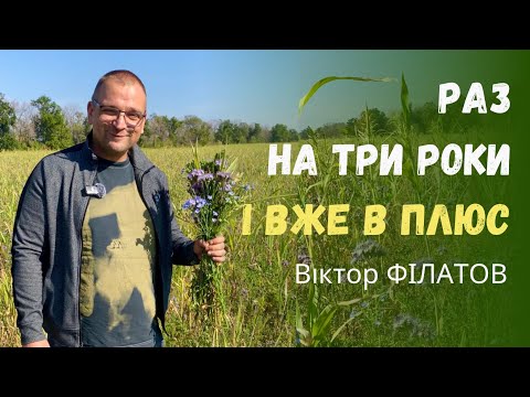 Видео: Як порахувати вигоду від покривних культур - проста формула від практика