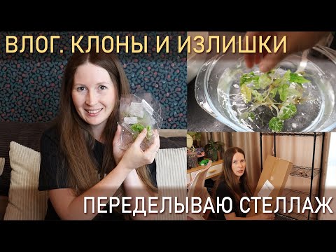 Видео: ВЛОГ. Клоны и излишки коллекции. Переделываю стеллаж!