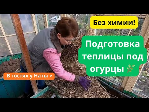Видео: Секрет урожая огурцов🥒 — как правильно подготовить грядки осенью