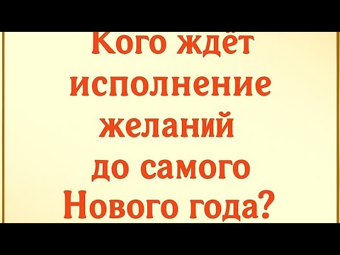 Видео: Кого ждёт исполнение желаний до самого Нового года?