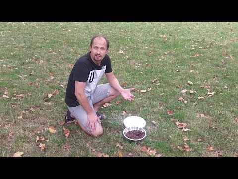 Видео: Как правильно обжарить кофе в домашних условиях - часть 2