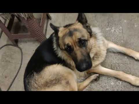 Видео: Гидроход на раздатке. Первый пуск. Часть 3.