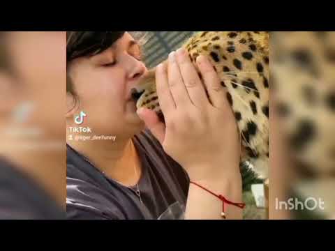 Видео: Прекрасное далеко..