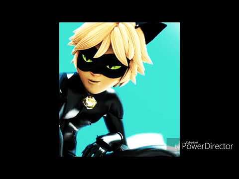 Видео: Клип леди баг и супер кот кис кис кис кис мяу мяу