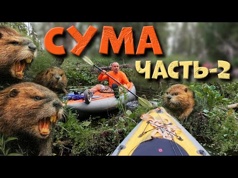 Видео: Они нас достали! река Сума (Карелия) часть 2