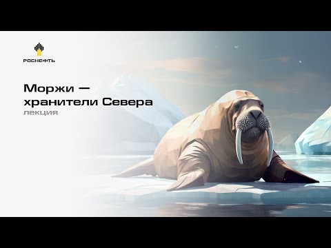 Видео: Лекция: Моржи — хранители Севера