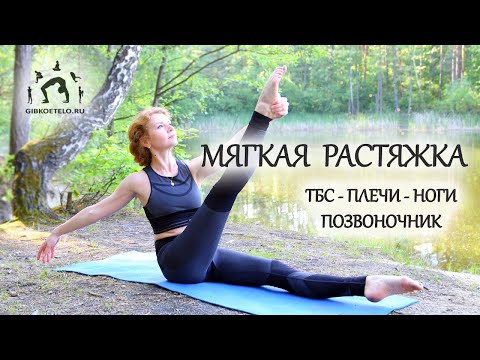 Видео: МЯГКАЯ РАСТЯЖКА от БОЛИ - ТАЗОБЕДРЕННЫЕ, ПОЗВОНОЧНИК, ПЛЕЧИ и НОГИ