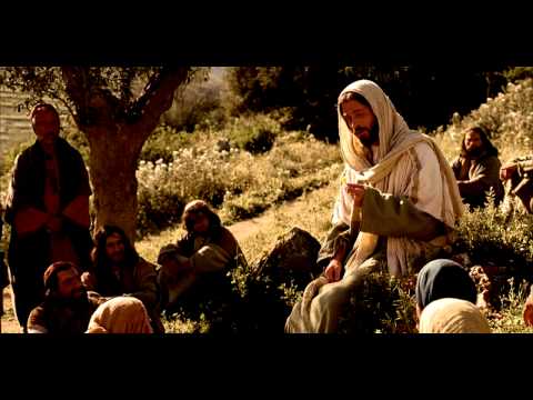 Видео: Ищите Царствия Божия