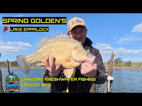 Видео: Весенняя рыбалка на золотистого окуня на озере Эппалок | Активный отдых в начале сезона