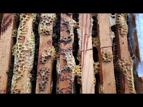 Видео: Просили показати--ПОКАЗУЮ....