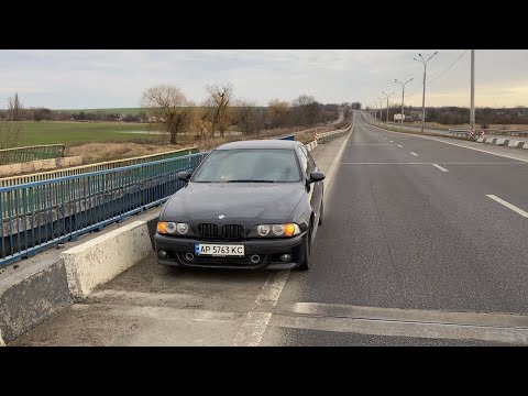 Видео: Мертвый пёс сломал мне машину!