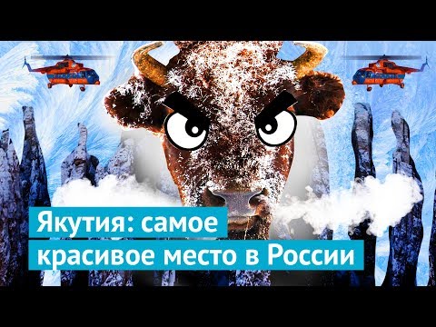 Видео: Якутия: на вертолете к Ленским столбам и бизонам
