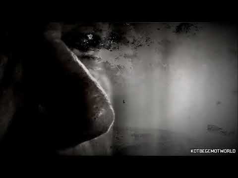 Видео: Страшные истории на ночь - ЛЕСНЫЕ ТВ*РИ Страшилки на ночь, мистика