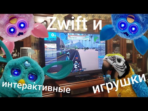 Видео: Интерактивные игрушки распознают неизвестные фразы в приложении Zwift