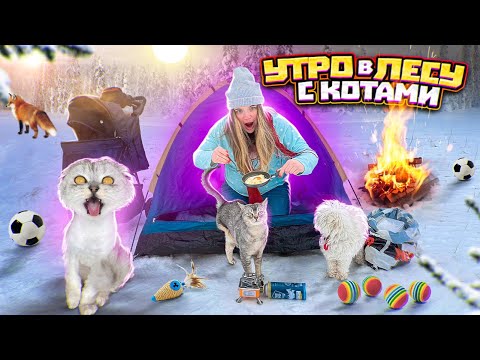 Видео: УТРО В ЛЕСУ С КОТАМИ И СОБАКОЙ В ПАЛАТКЕ | 24 часа в лесу челлендж