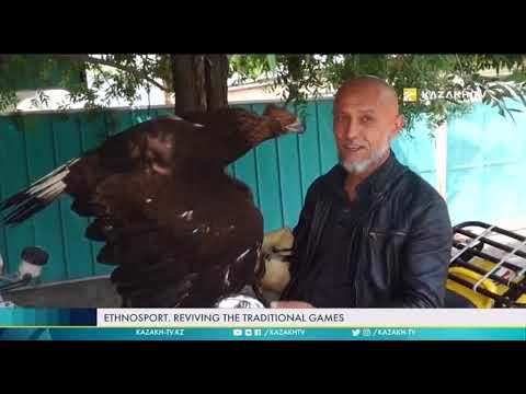 Видео: Охота с ловчими птицами