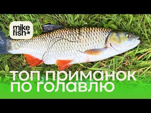 Видео: Топ приманок по голавлю в 2025