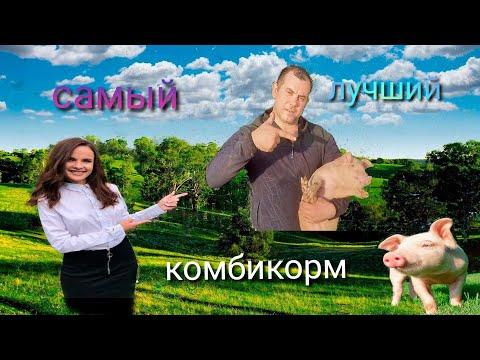 Видео: Комбикорм для свиней. Эксперимент начался!