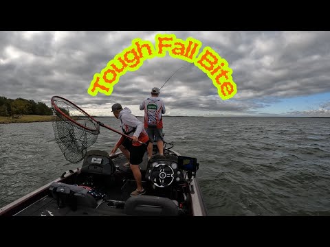 Видео: Соревнование за призовой фонд в размере более 20 000 долларов на озере Рэй Робертс!!! - Чемпионат...