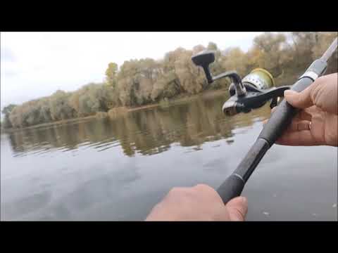 Видео: Рыбалка на Дону, мкр. Малышево, около Понтонного моста , г.Воронеж, 11.10.2025