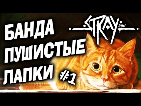 Видео: 1) Неон, роботы и лапки 😺 Stray