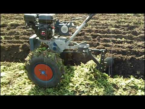 Видео: ВСПАШКА ГОРЧИЦЫ МОТОБЛОКОМ КРОТ.