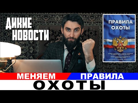 Видео: Охоту на лося, кабана, медведя сократят до 30 дней/Меняем правила охоты/Дикие новости