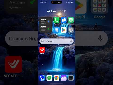 Видео: 9 августа 2025 г.