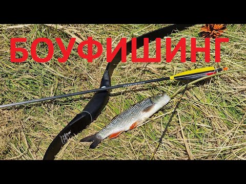 Видео: Боуфишинг с традиционным луком. Без гарпунов и катушек.