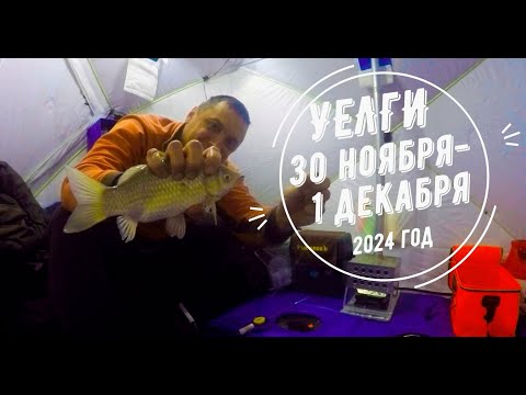 Видео: Зимняя рыбалка на озере Уелги. Ловля карася на поплавок. Сезон 2024-2025.