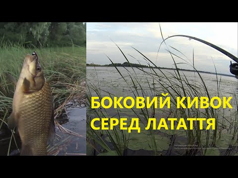 Видео: Ловля карася на боковий кивок серед латаття!