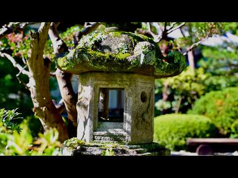 Видео: Прогулка по изогнутым тропам среди мха и деревьев – Японский сад Ёсикиэн, Нара